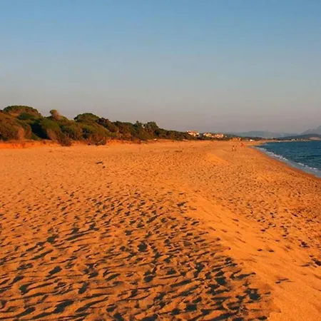 Magical Sunset Flat, In An Olive Grove By The Beach アパート Kánalos