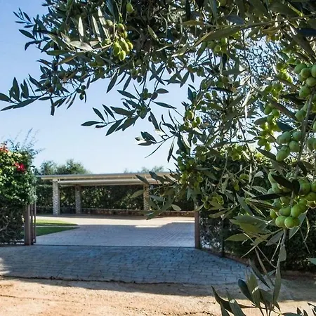 Magical Sunset Flat, In An Olive Grove By The Beach
