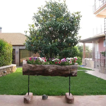 Magical Sunset Flat, In An Olive Grove By The Beach * Kánalos